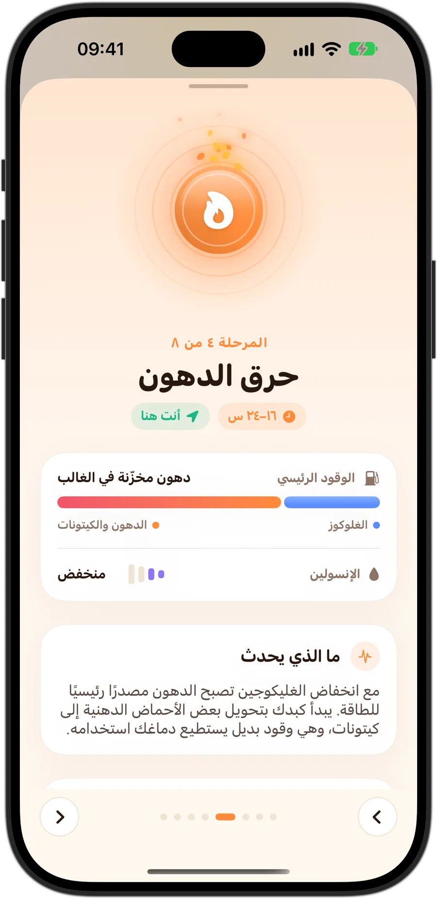 مرحلة حرق الدهون في Fasting Tracker على iPhone 18 Pro: المرحلة 4 من 8، من 16 إلى 24 ساعة، والدهون المخزنة غالبًا هي الوقود الرئيسي، والإنسولين منخفض، وما يحدث في جسمك