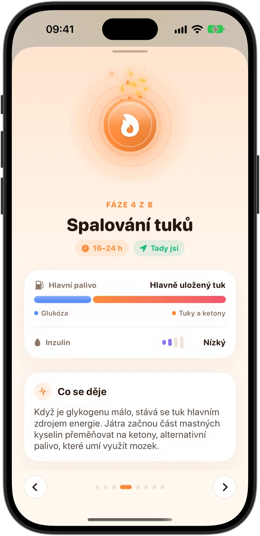 Fáze Spalování tuků ve Fasting Tracker na iPhonu 18 Pro: fáze 4 z 8, 16 až 24 hodin, hlavním palivem je převážně uložený tuk, nízký inzulin a co se děje v těle