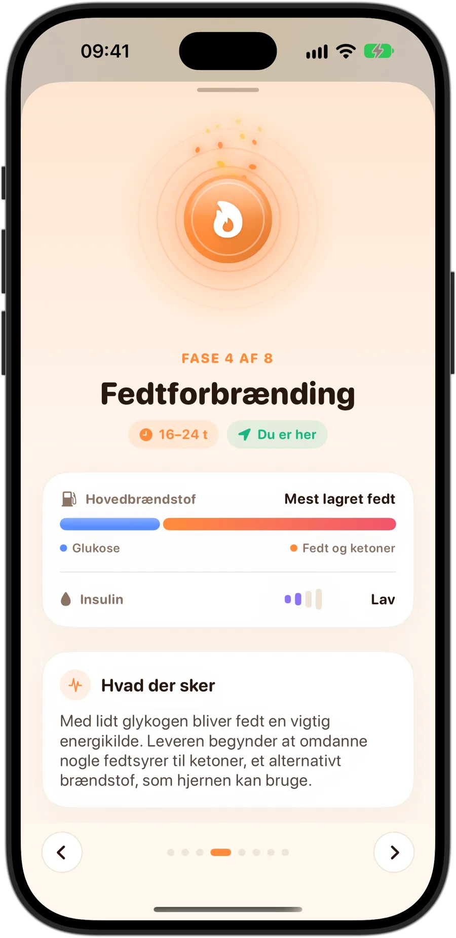 Fasen Fedtforbrænding i Fasting Tracker på iPhone 18 Pro: fase 4 af 8, 16 til 24 timer, mest oplagret fedt som hovedbrændstof, lav insulin og hvad der sker i kroppen