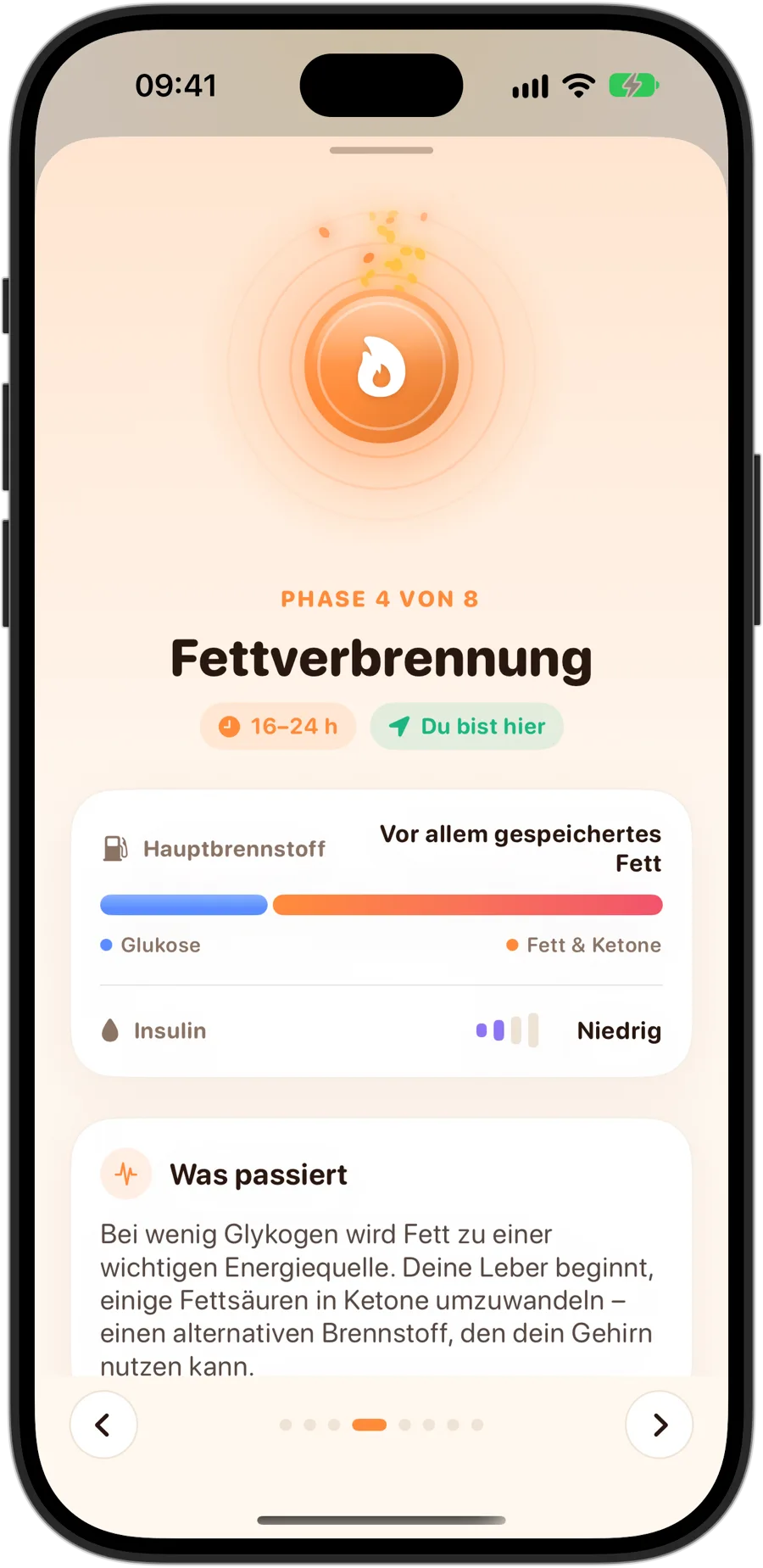 Die Phase Fettverbrennung in Fasting Tracker auf dem iPhone 18 Pro: Phase 4 von 8, 16 bis 24 Stunden, vor allem gespeichertes Fett als Hauptbrennstoff, niedriges Insulin und was in deinem Körper passiert