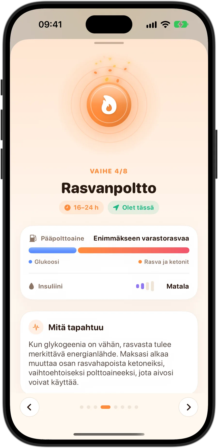 Rasvanpoltto-vaihe Fasting Trackerissa iPhone 18 Prolla: vaihe 4/8, 16–24 tuntia, pääpolttoaineena enimmäkseen varastoitu rasva, matala insuliini ja mitä kehossa tapahtuu