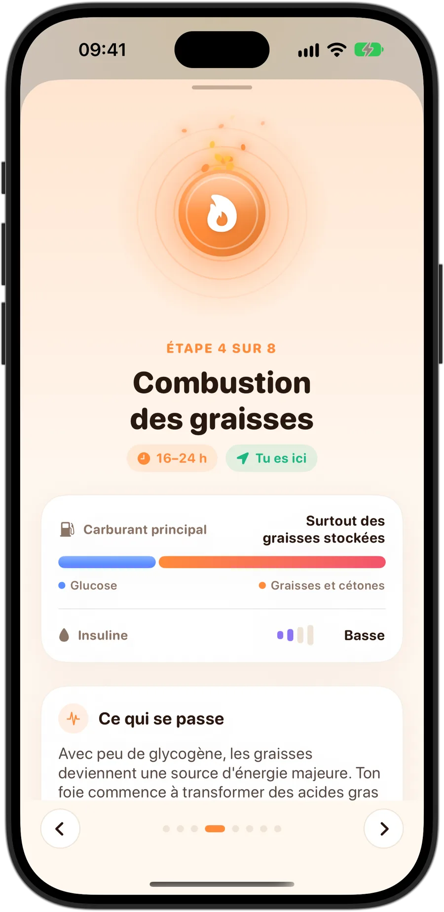 L'étape Combustion des graisses dans Fasting Tracker sur iPhone 18 Pro : étape 4 sur 8, de 16 à 24 heures, surtout des graisses stockées comme carburant principal, une insuline basse et ce qui se passe dans ton corps