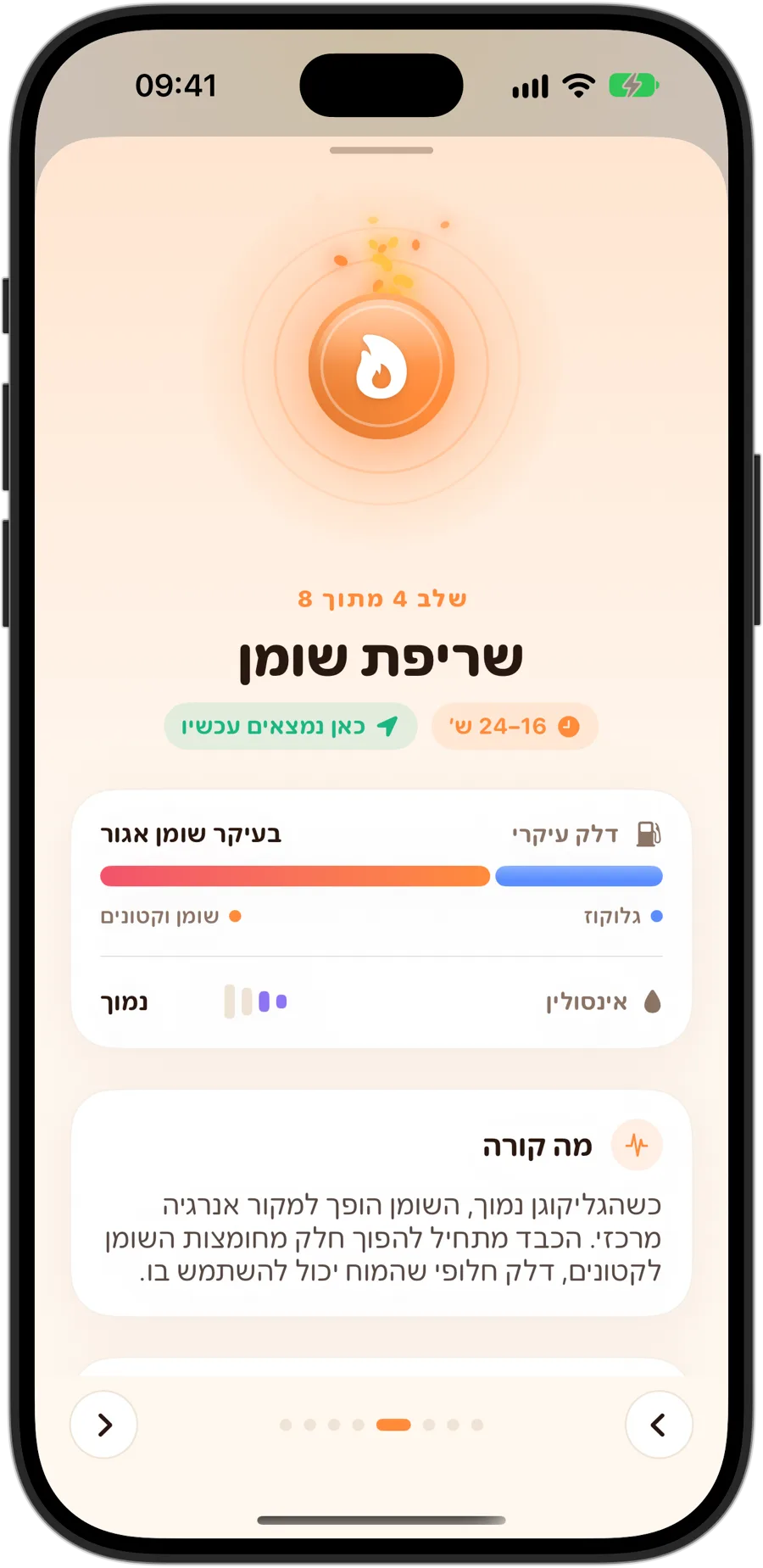 שלב שריפת שומן ב־Fasting Tracker ב־iPhone 18 Pro: שלב 4 מתוך 8, 16 עד 24 שעות, בעיקר שומן אגור כדלק העיקרי, אינסולין נמוך, ומה קורה בגוף