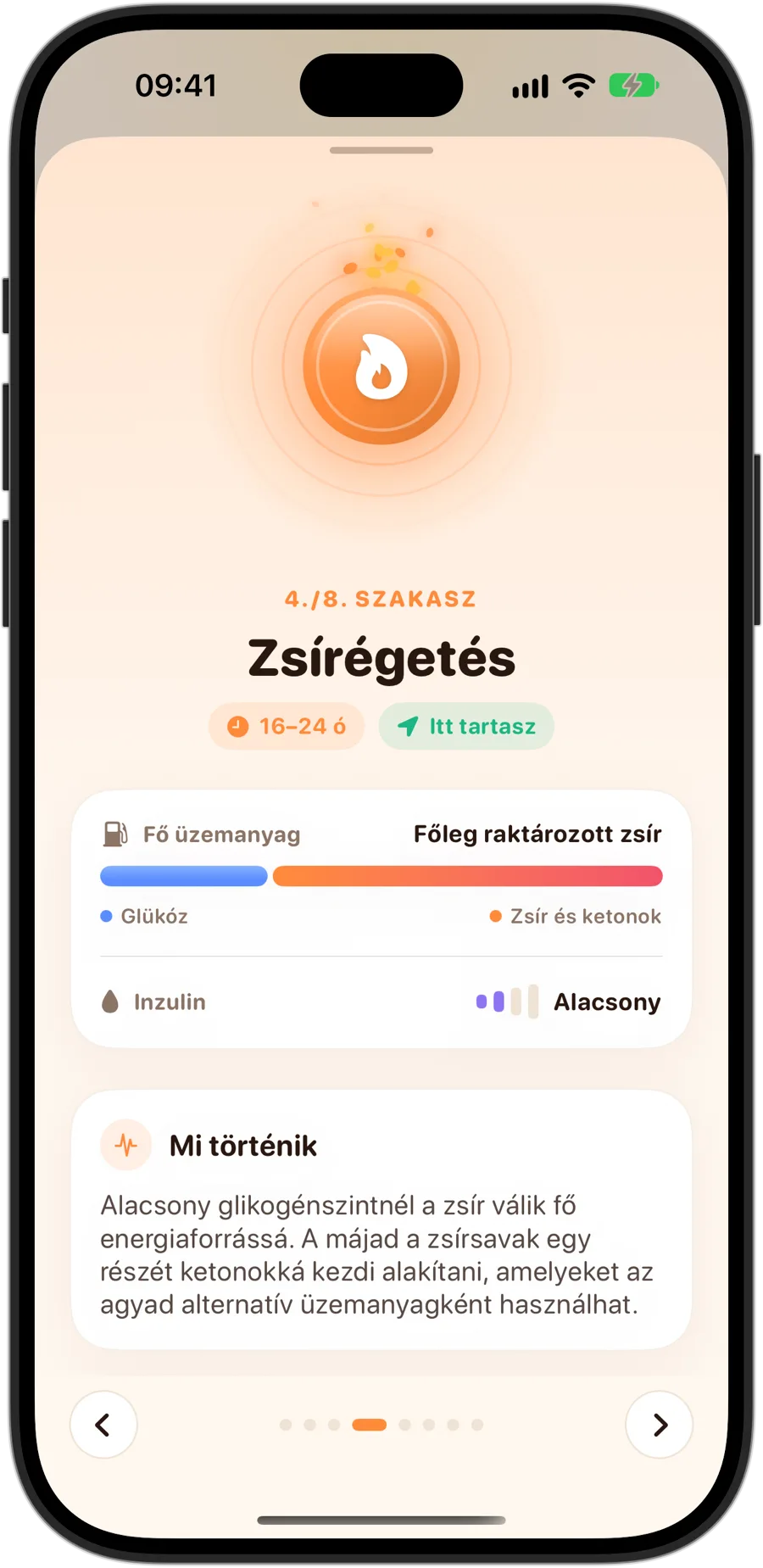 A Zsírégetés szakasz a Fasting Trackerben iPhone 18 Prón: 4. szakasz a 8-ból, 16–24 óra, fő üzemanyag főleg a raktározott zsír, alacsony inzulin és mi történik a testedben