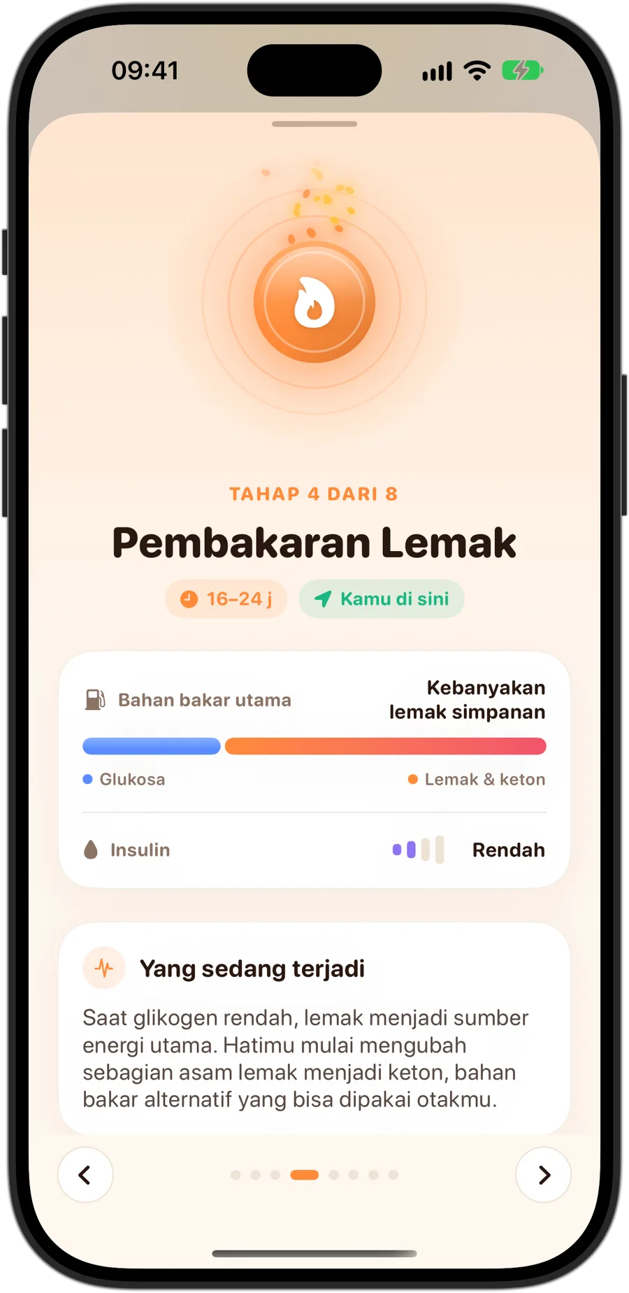 Tahap Pembakaran Lemak di Fasting Tracker di iPhone 18 Pro: tahap 4 dari 8, 16 hingga 24 jam, bahan bakar utama sebagian besar lemak tersimpan, insulin rendah, dan apa yang terjadi di tubuhmu