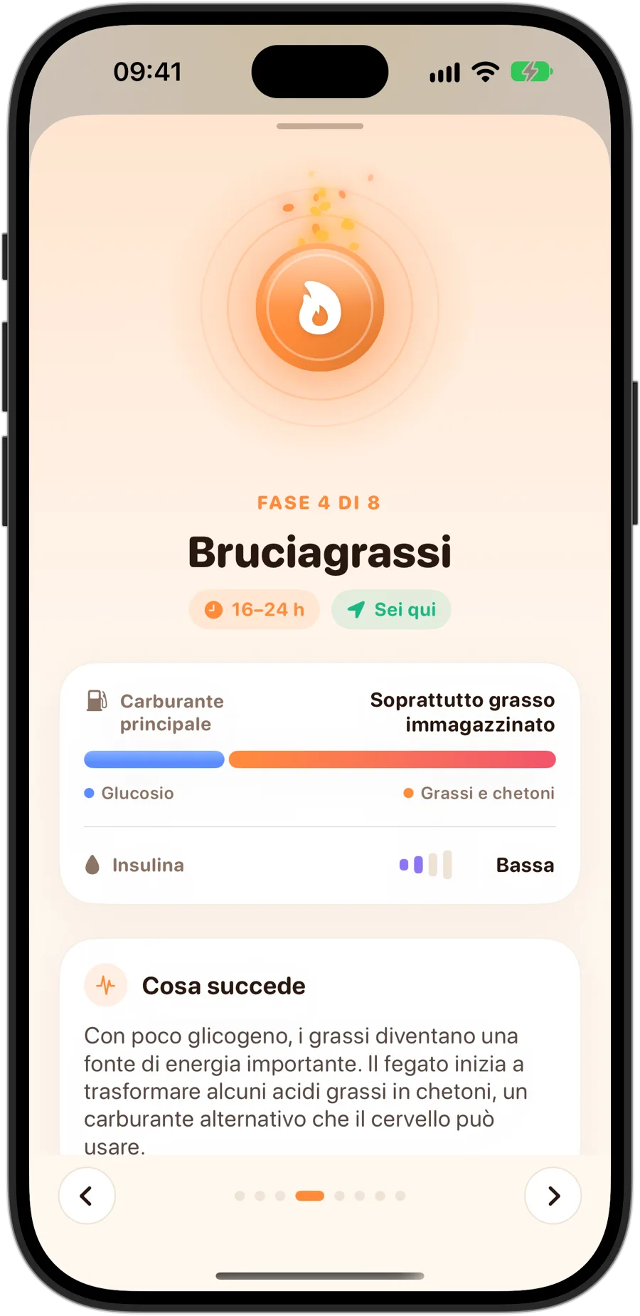 La fase Bruciagrassi in Fasting Tracker su iPhone 18 Pro: fase 4 di 8, da 16 a 24 ore, soprattutto grasso di riserva come carburante principale, insulina bassa e cosa succede nel tuo corpo