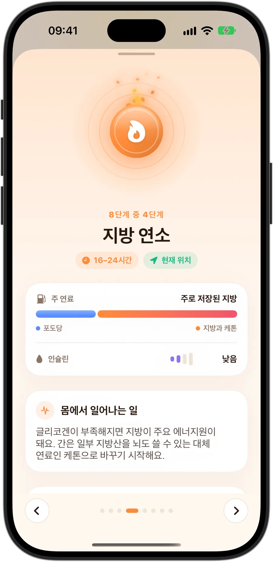 iPhone 18 Pro의 Fasting Tracker 지방 연소 단계: 8단계 중 4단계, 16~24시간, 주된 연료는 주로 저장된 지방, 낮은 인슐린, 몸에서 일어나는 일 설명