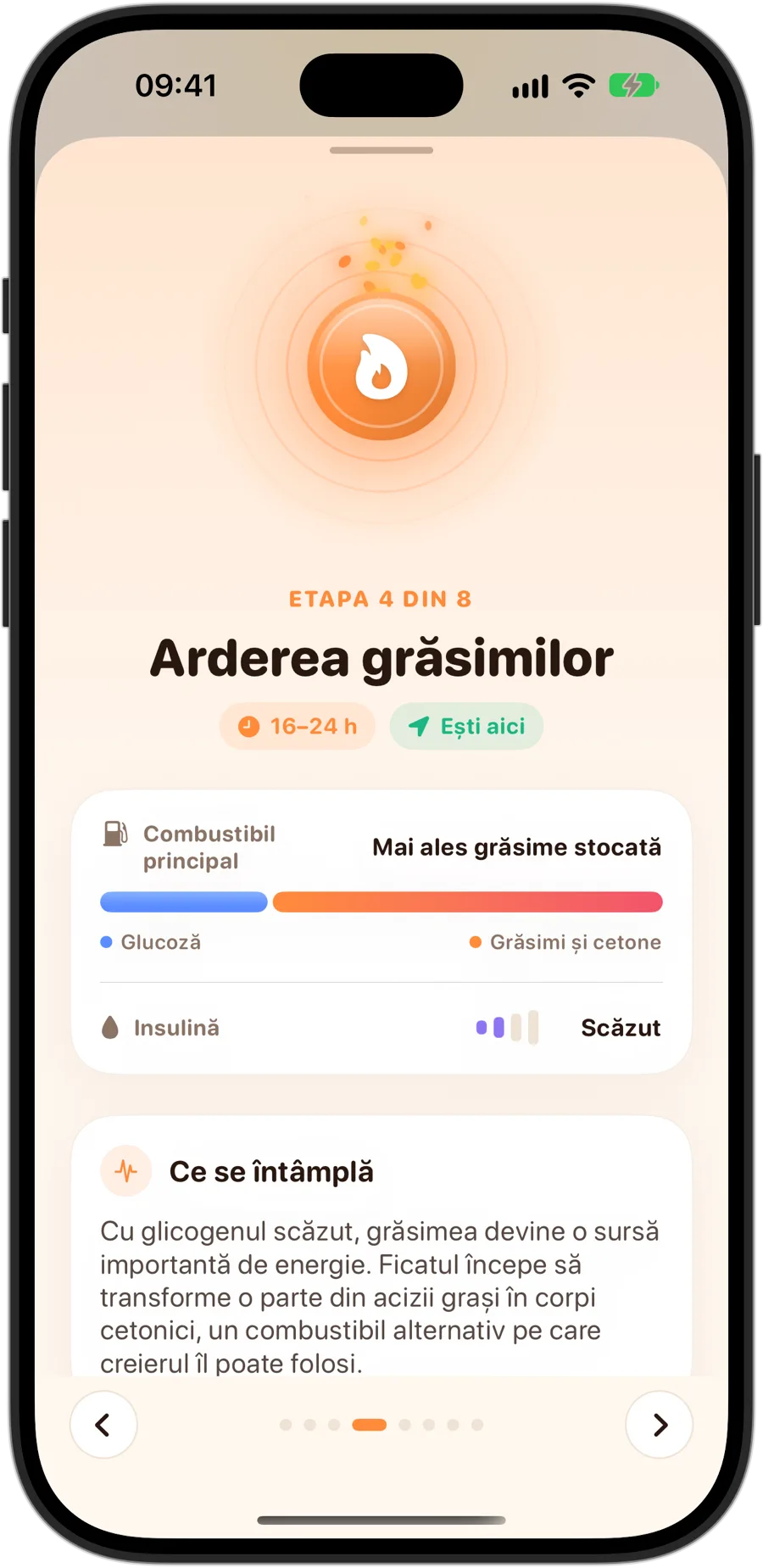 Etapa Arderea grăsimilor în Fasting Tracker pe iPhone 18 Pro: etapa 4 din 8, de la 16 la 24 de ore, combustibil principal în mare parte grăsimea depozitată, insulină scăzută și ce se întâmplă în corpul tău