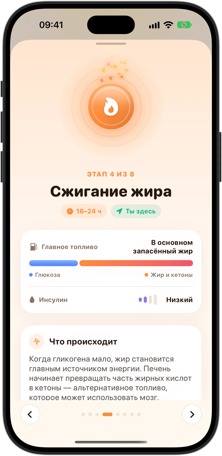 Этап «Сжигание жира» в Fasting Tracker на iPhone 18 Pro: этап 4 из 8, от 16 до 24 часов, основным топливом служит в основном запасённый жир, инсулин низкий, и что происходит в организме