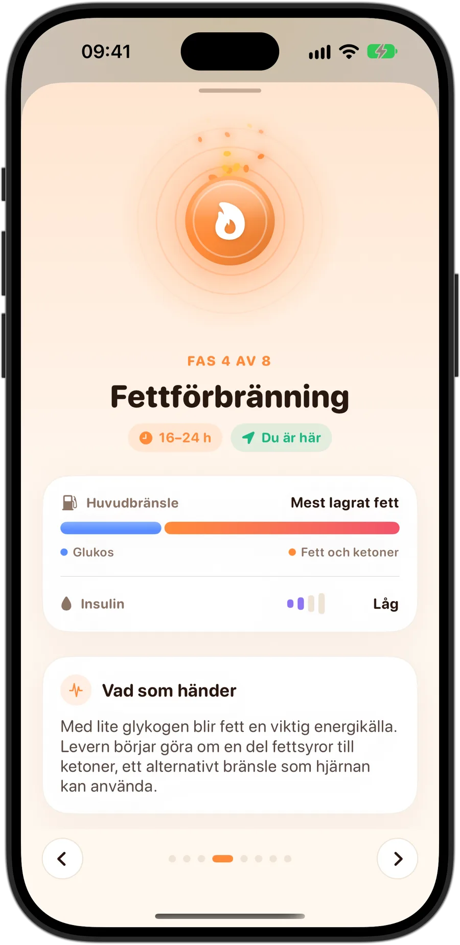 Fasen Fettförbränning i Fasting Tracker på iPhone 18 Pro: fas 4 av 8, 16 till 24 timmar, mest lagrat fett som huvudbränsle, lågt insulin och vad som händer i kroppen