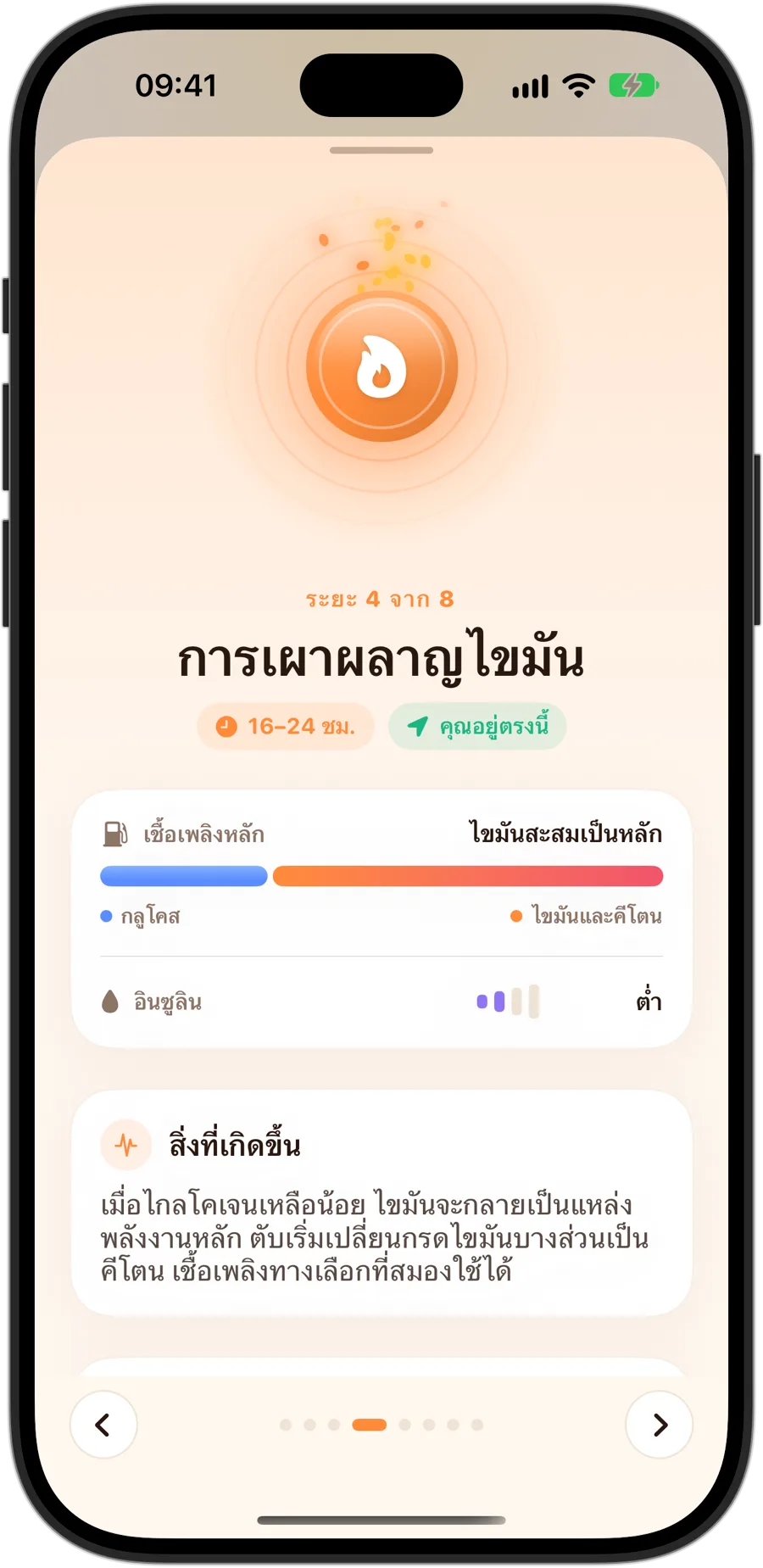 ระยะ การเผาผลาญไขมัน ใน Fasting Tracker บน iPhone 18 Pro: ระยะที่ 4 จาก 8 ช่วง 16 ถึง 24 ชั่วโมง เชื้อเพลิงหลักส่วนใหญ่เป็นไขมันสะสม อินซูลินต่ำ และสิ่งที่เกิดขึ้นในร่างกาย