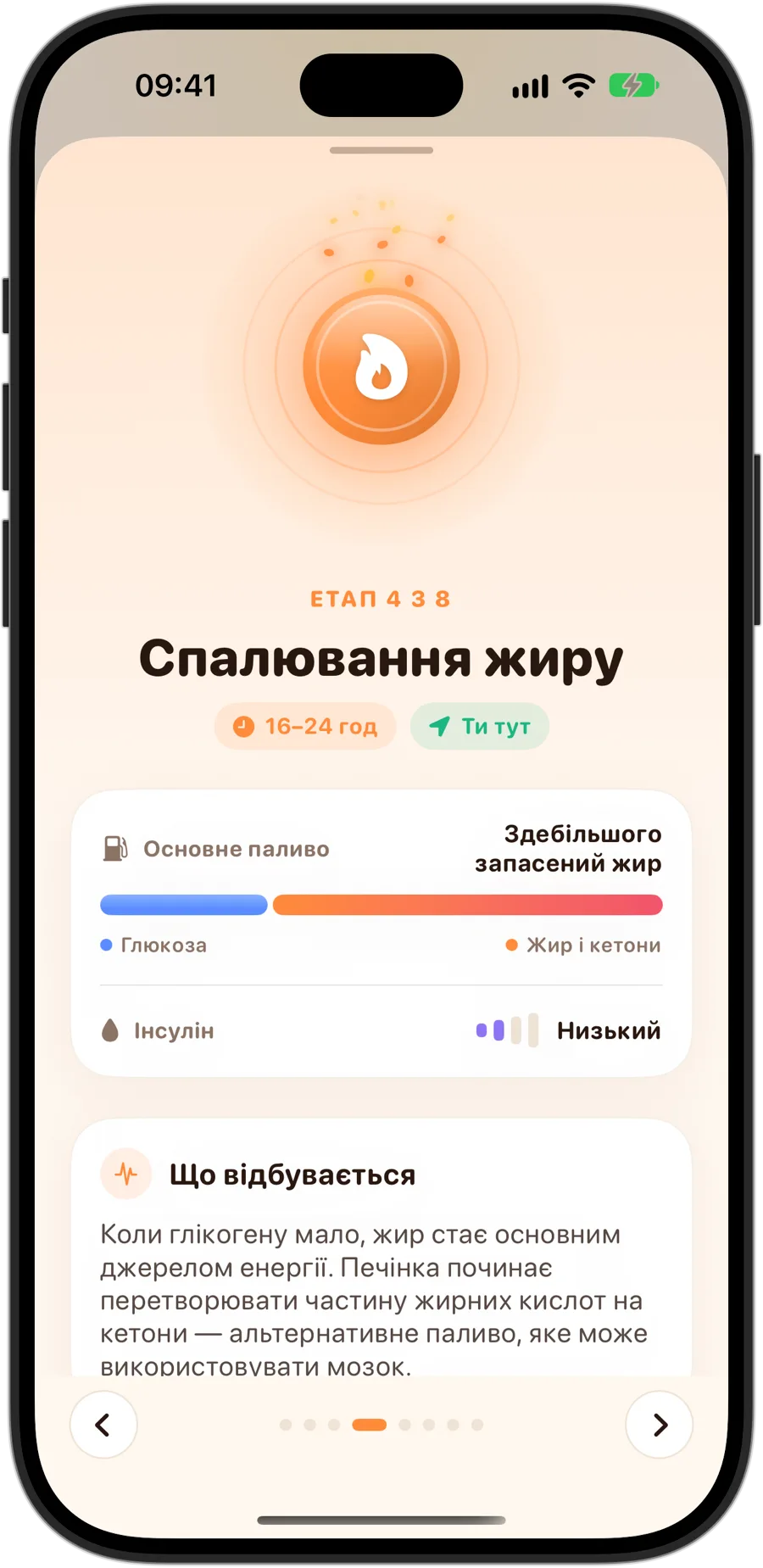 Етап «Спалювання жиру» в Fasting Tracker на iPhone 18 Pro: етап 4 з 8, від 16 до 24 годин, основним паливом слугує здебільшого запасений жир, інсулін низький, і що відбувається в організмі