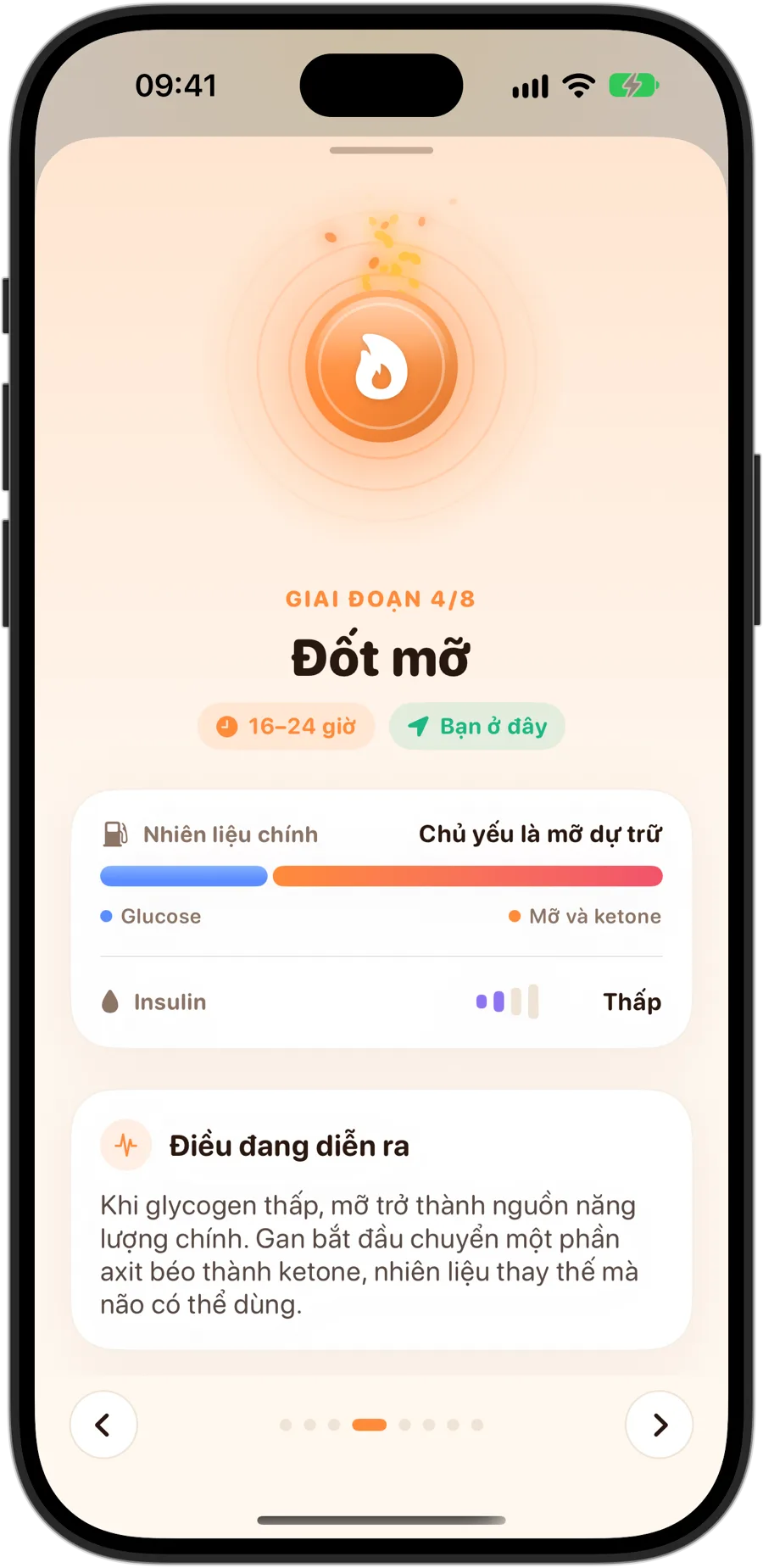 Giai đoạn Đốt mỡ trong Fasting Tracker trên iPhone 18 Pro: giai đoạn 4 trên 8, từ 16 đến 24 giờ, nhiên liệu chính chủ yếu là mỡ dự trữ, insulin thấp và điều gì diễn ra trong cơ thể bạn