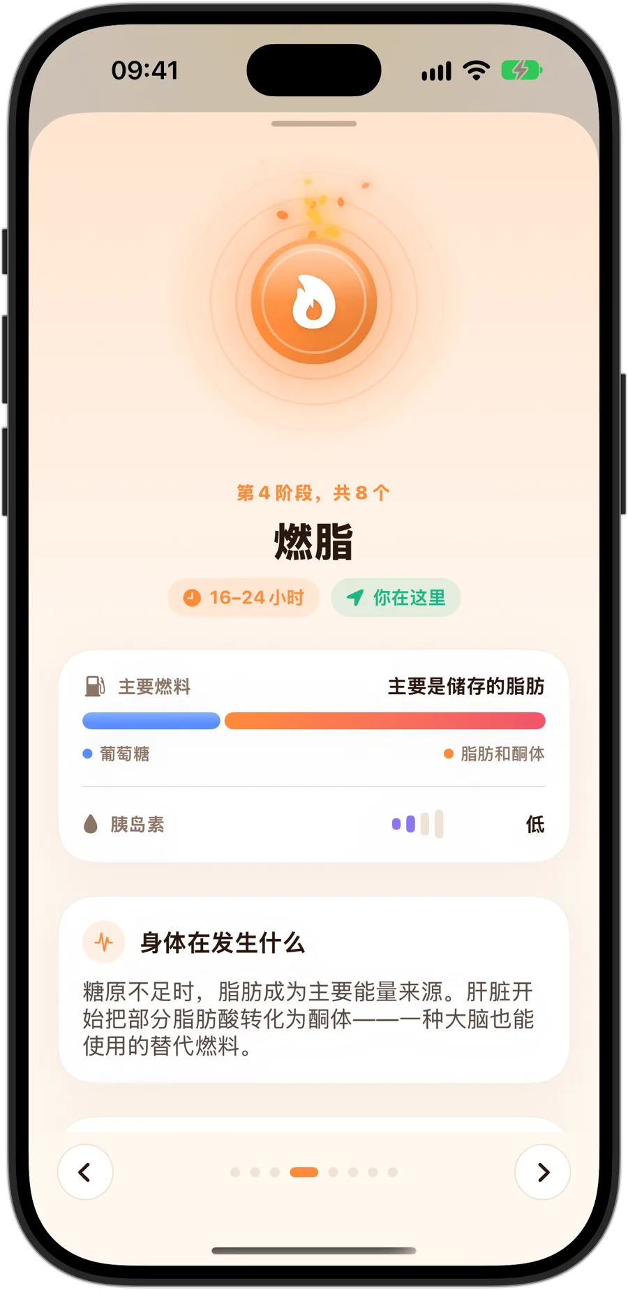 iPhone 18 Pro 上 Fasting Tracker 中的燃脂阶段：8 个阶段中的第 4 个，16 至 24 小时，主要燃料为储存的脂肪，胰岛素低，以及身体里正在发生什么