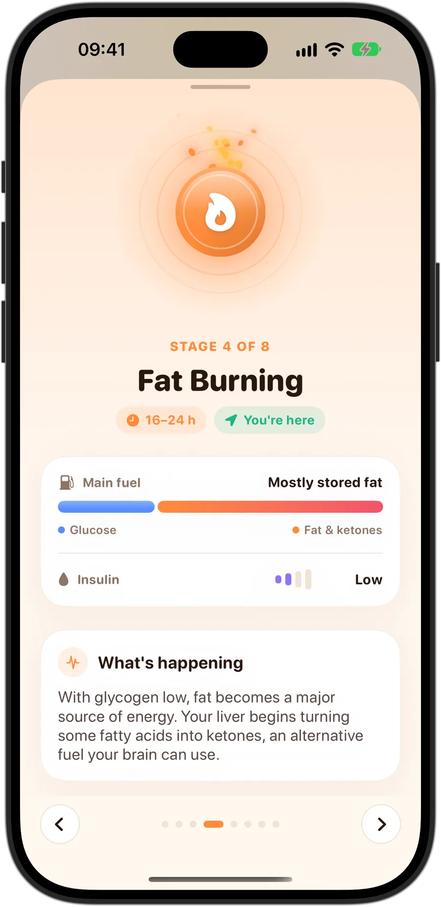 The Fat Burning stage in Fasting Tracker on iPhone 18 Pro: stage 4 of 8, 16 to 24 hours, mostly stored fat as the main fuel, low insulin, and what's happening in your body